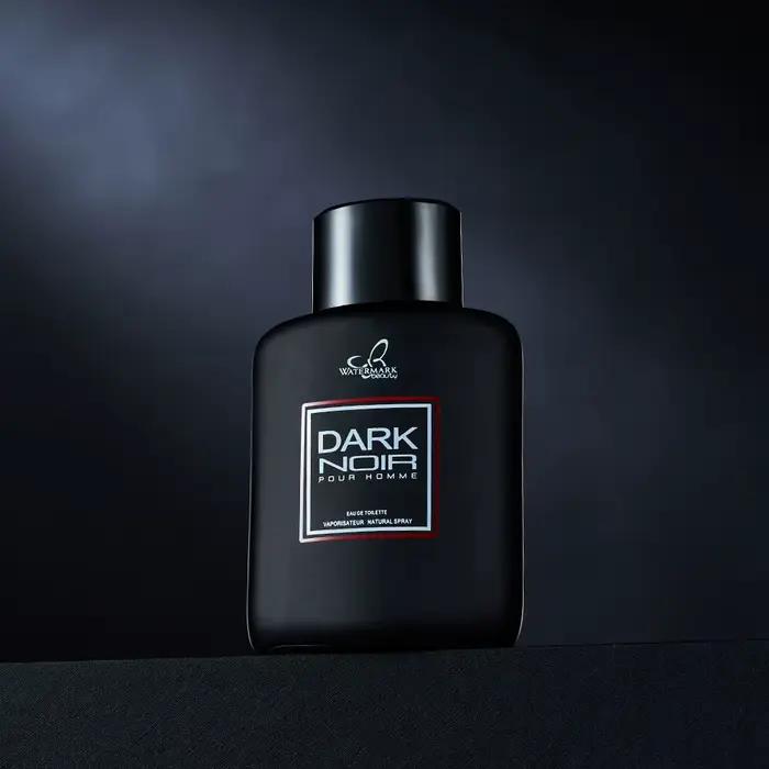 100ML 3.4FL.OZ Fougère Eau de Parfum Spray pour hommes, parfum longue durée, parfum frais pour les r