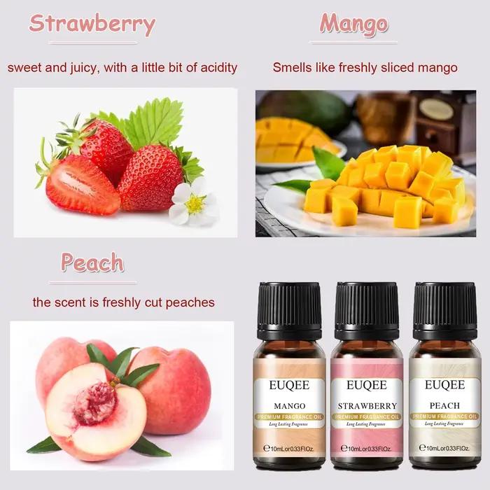 EUQEE – ensemble d'huiles parfumées Premium pour hommes et femmes, 6x10ml, huile essentielle parfumée pour diffuseur, aromathérapie, fabrication de bougies, savon de bricolage